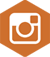 Follow us on Instagram
