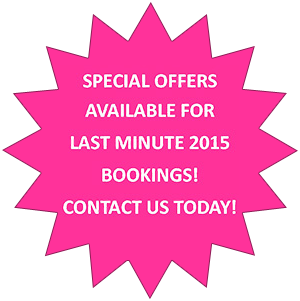 Special Offer