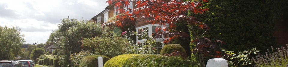 Homestay Accommodation in Muswell Hill