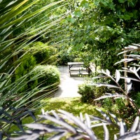 Our garden is a peaceful space away from the city